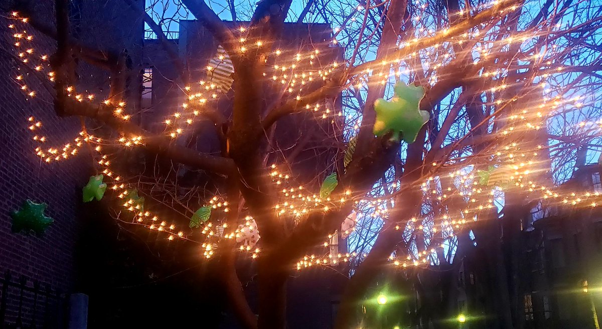 🍀 Go gcuire Dia an t-ádh ort🌈 tweet media