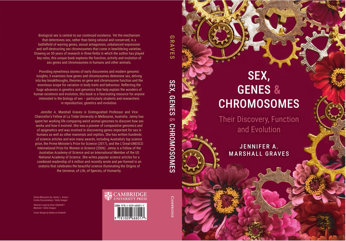 Jenny Graves tweet media