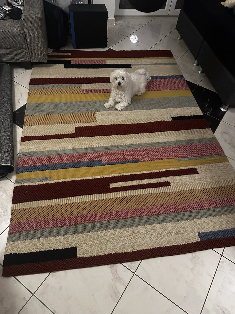 Litho ℸ̷⃝ tweet media