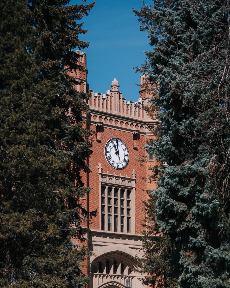 Idaho WBB tweet media