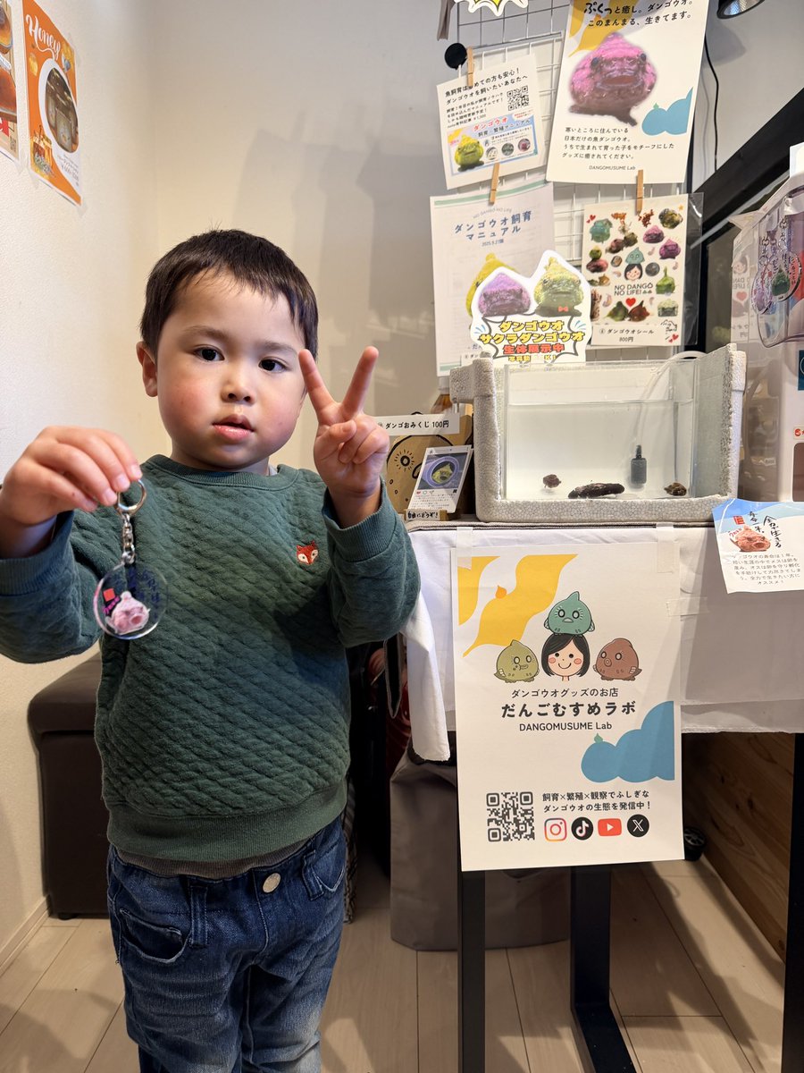 だんごむすめ tweet media