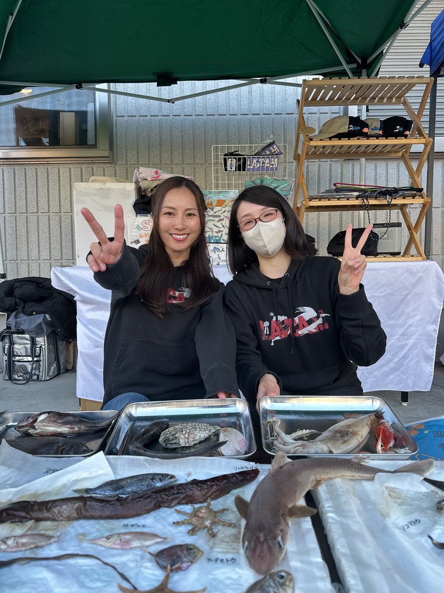 だんごむすめ tweet media