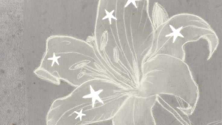 𑁯ִଓ tweet media