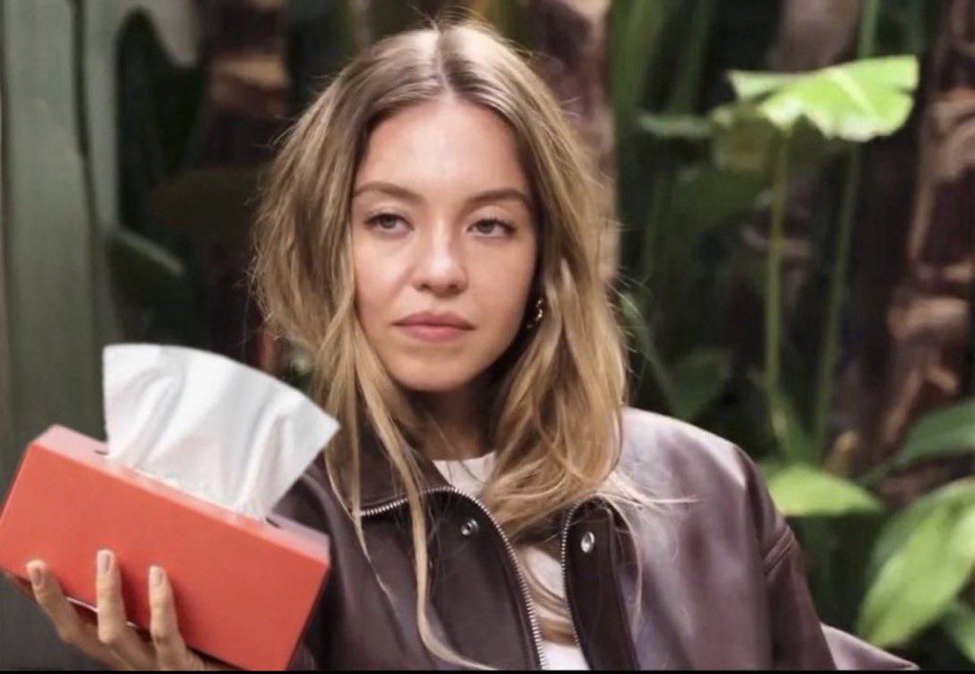 Jeff the fisherman🇲🇦🦈 tweet media