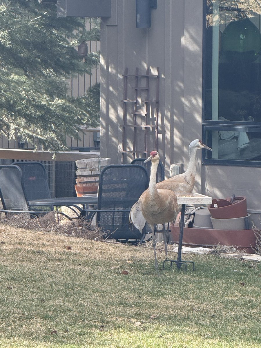 Denise K Shull tweet media