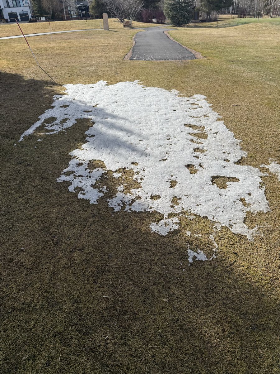 Denise K Shull tweet media