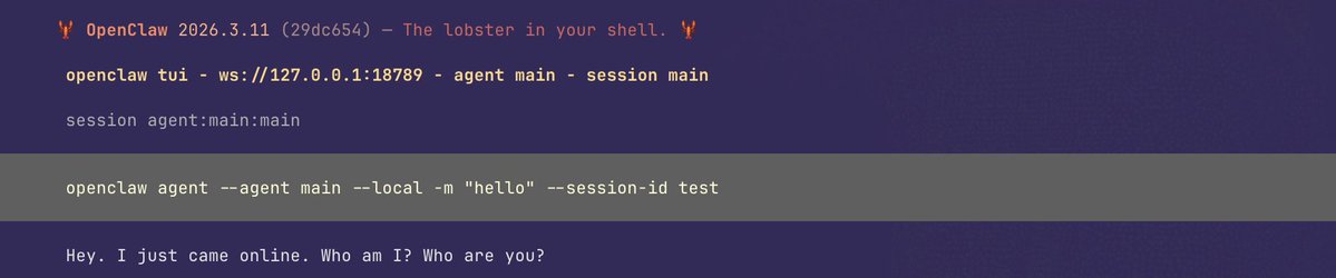 David Webster tweet media
