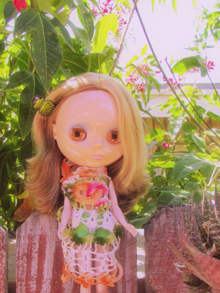 publicly egg tweet media