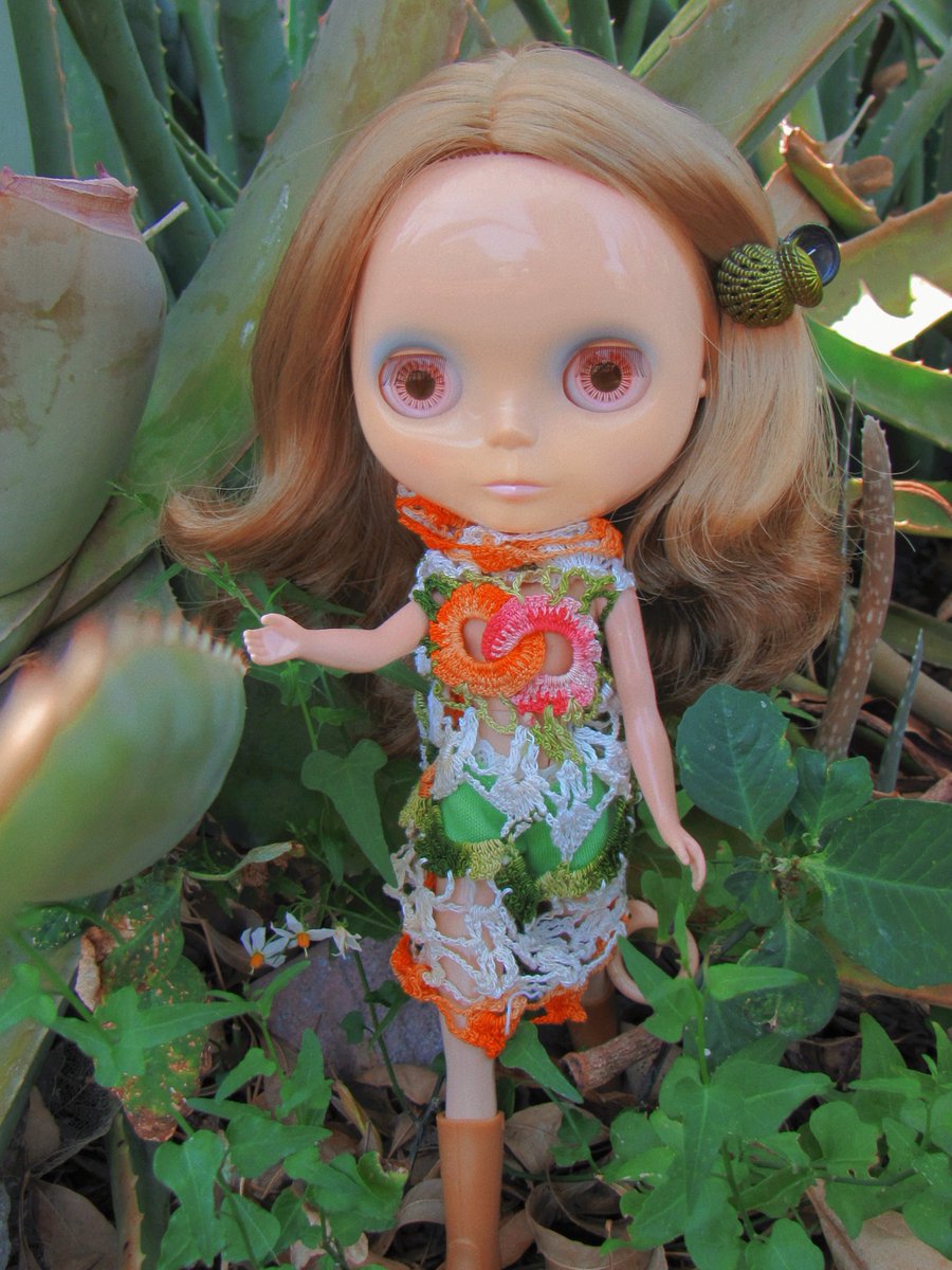 publicly egg tweet media