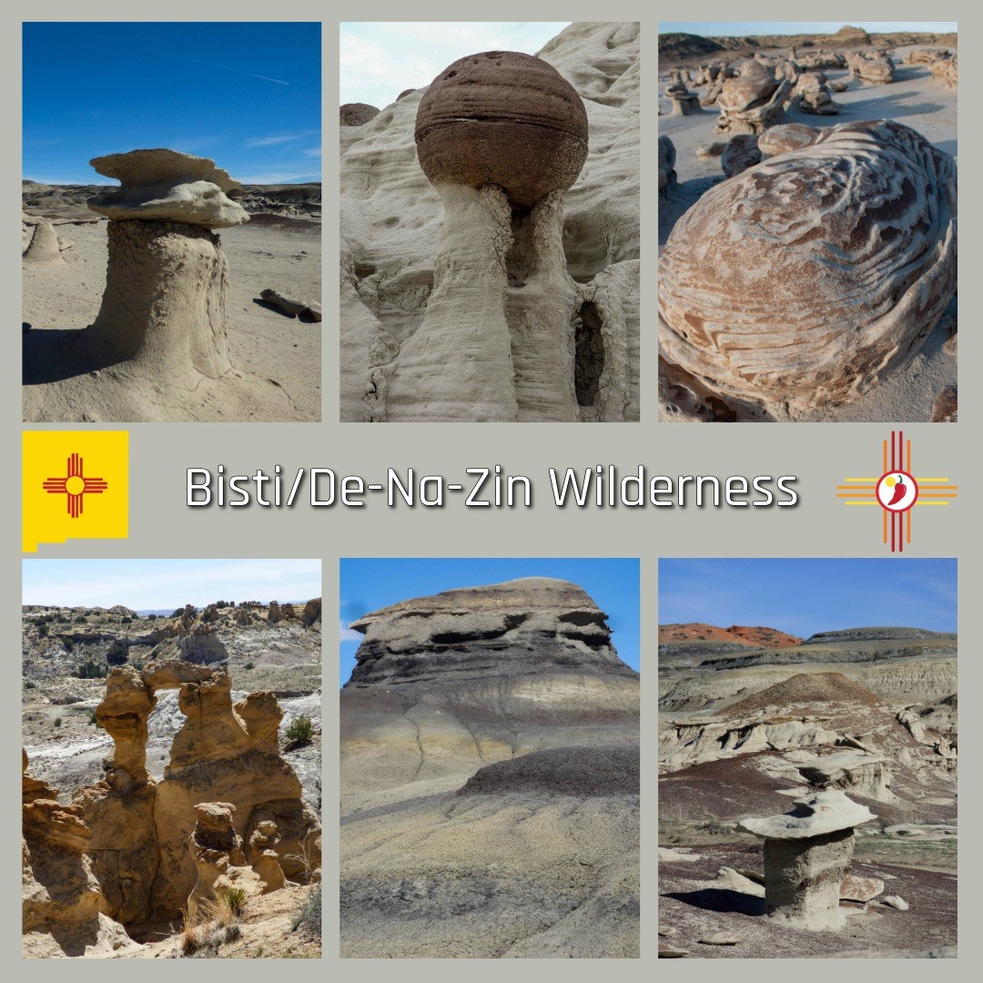 VisitGallup tweet media