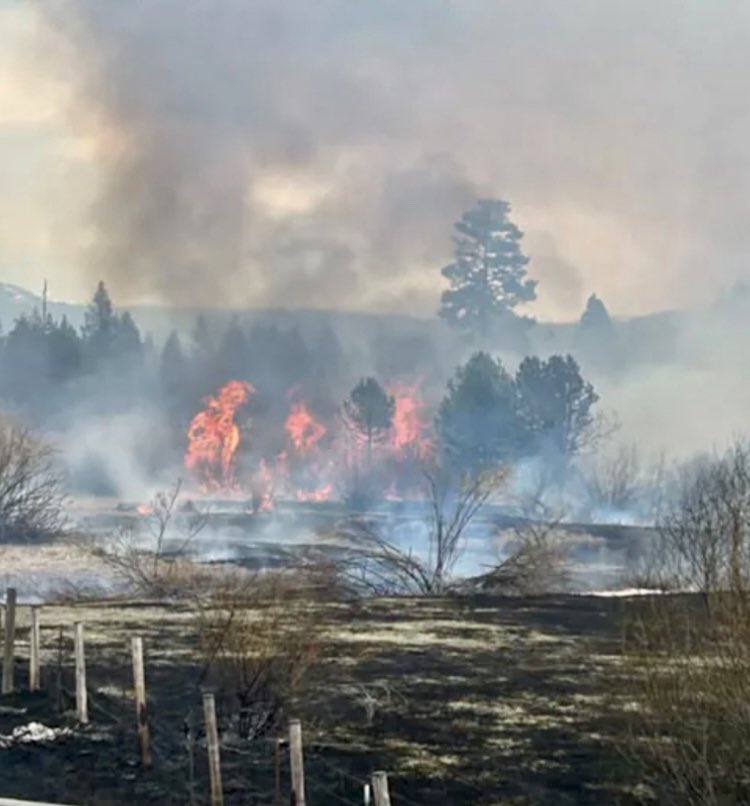 The Hotshot Wake Up tweet media