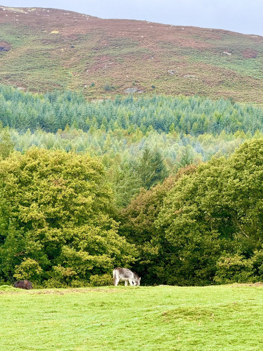 Jimmy D ✌🏻 tweet media