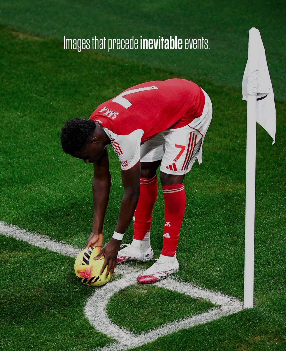 fredz 🐐 tweet media