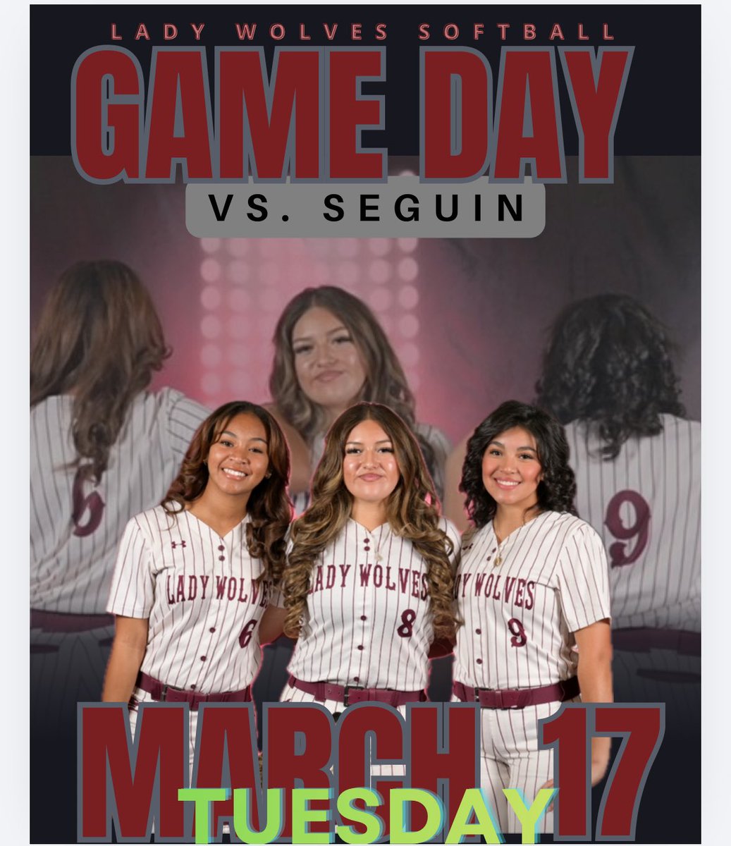 Timberview Softball tweet media