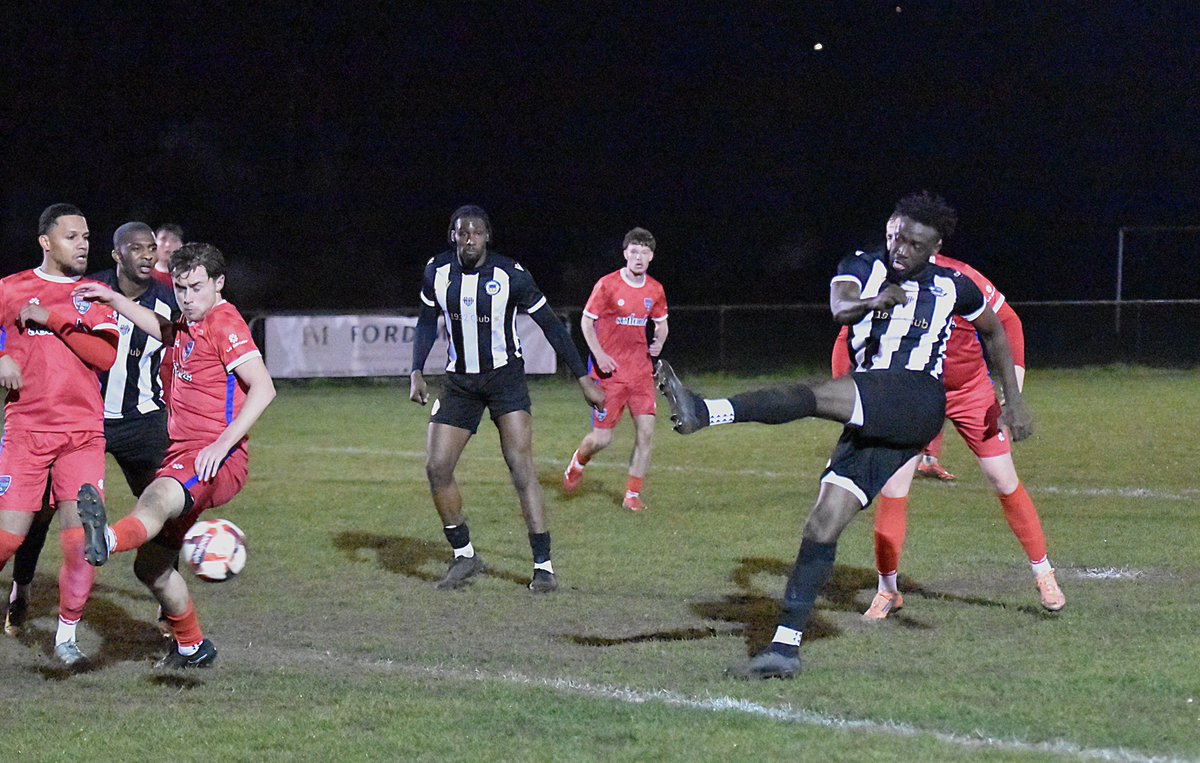 Tim Marcus tweet media