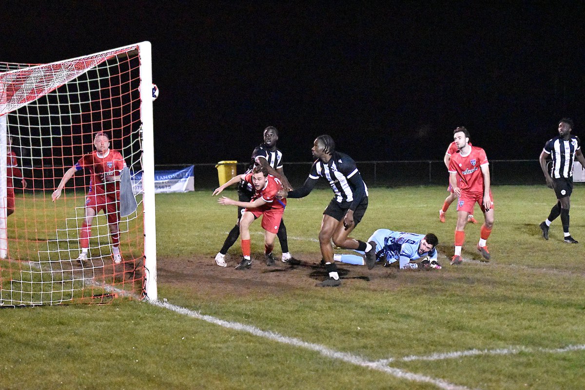 Tim Marcus tweet media