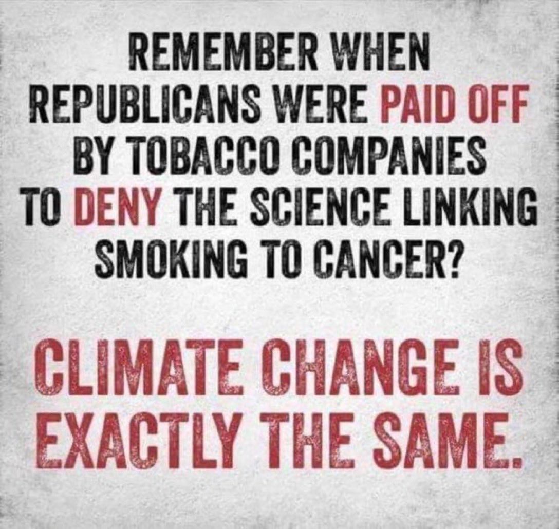 Michael F Ozaki MD tweet media