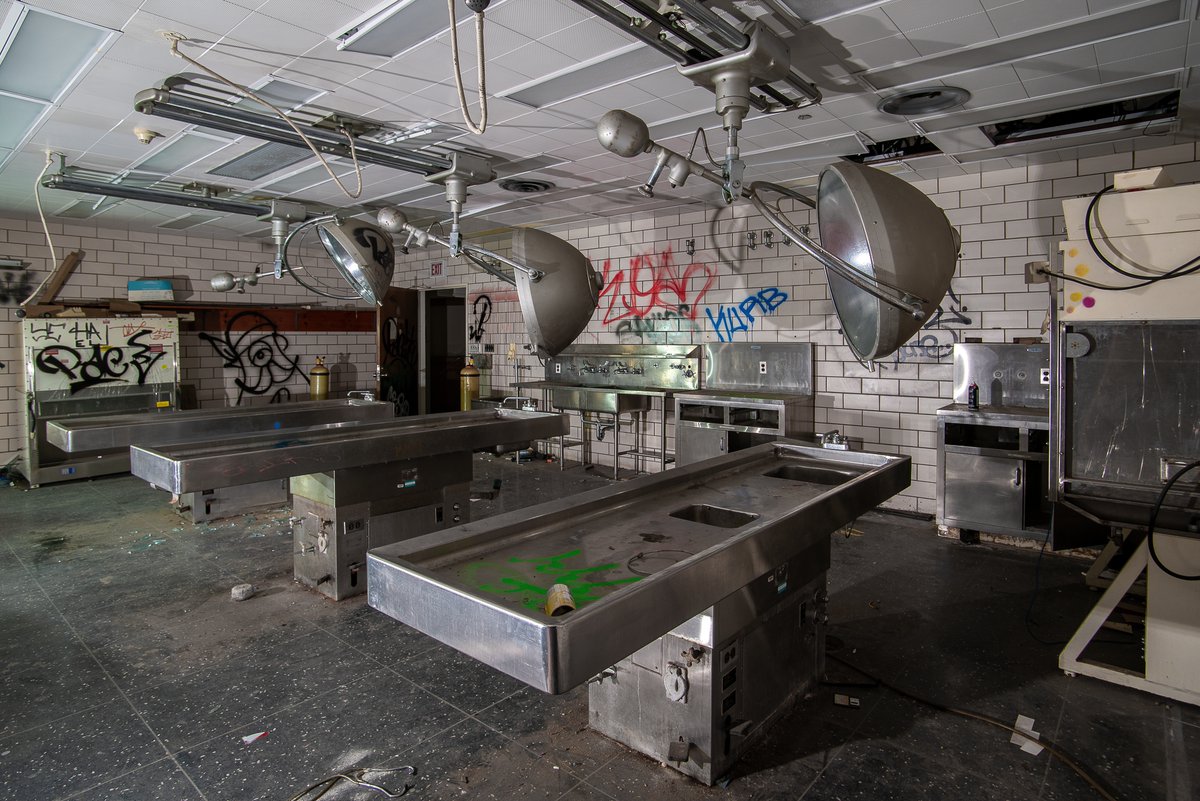 Mr. P. Explores tweet media