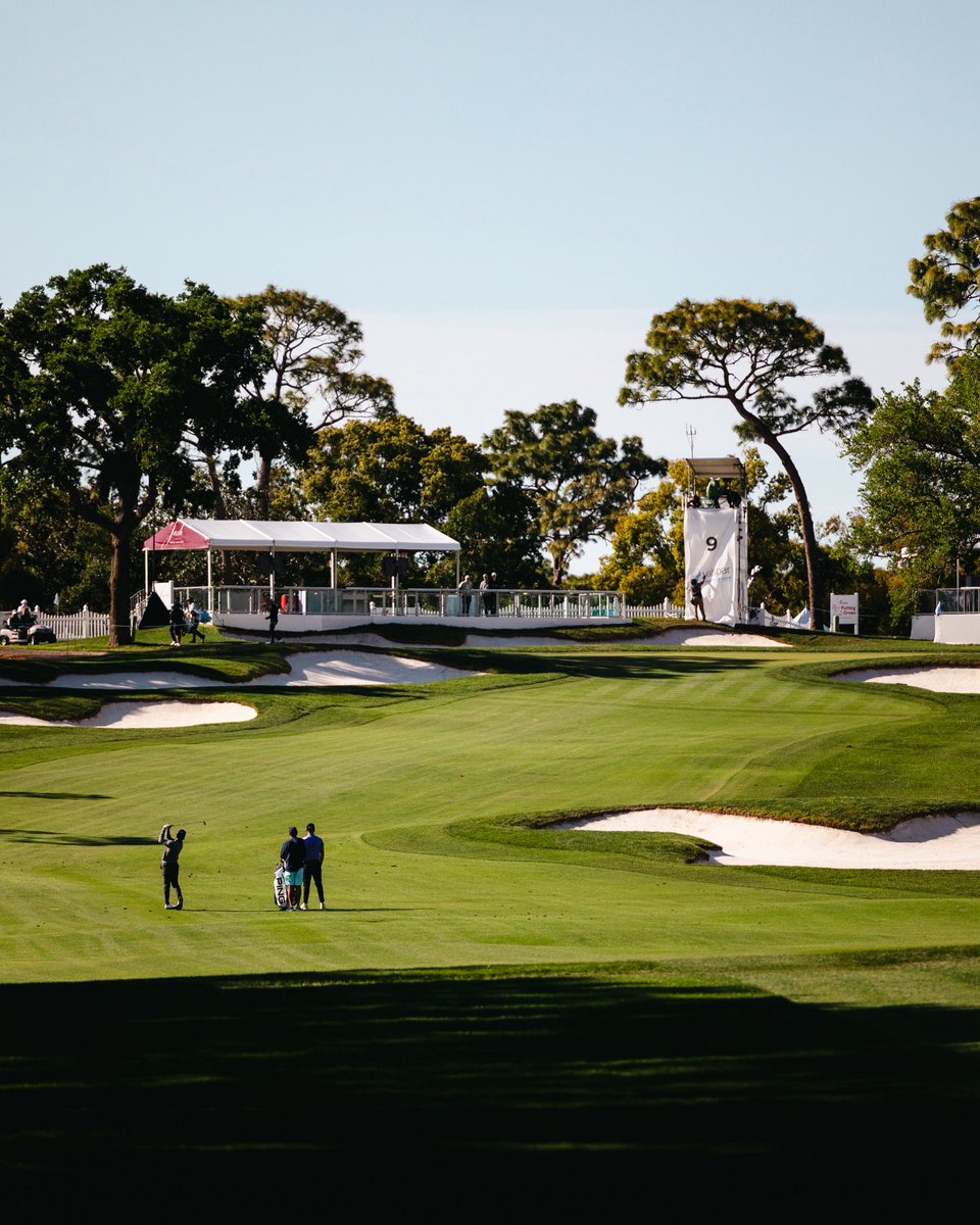 Valspar Championship tweet media