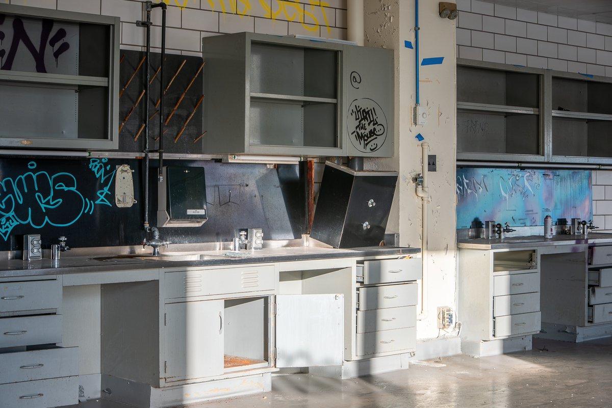 Mr. P. Explores tweet media