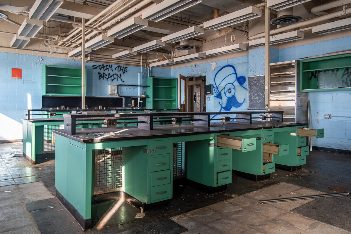 Mr. P. Explores tweet media