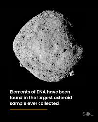 Rock Mada tweet media