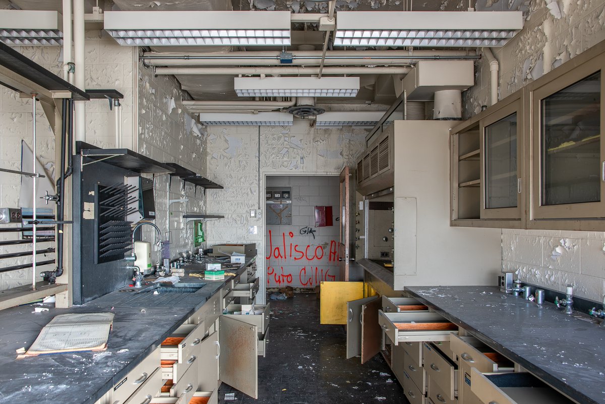 Mr. P. Explores tweet media