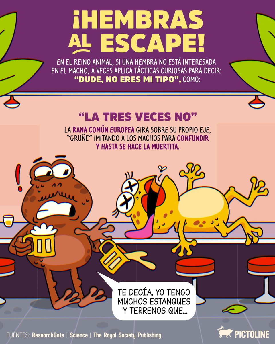 pictoline tweet media