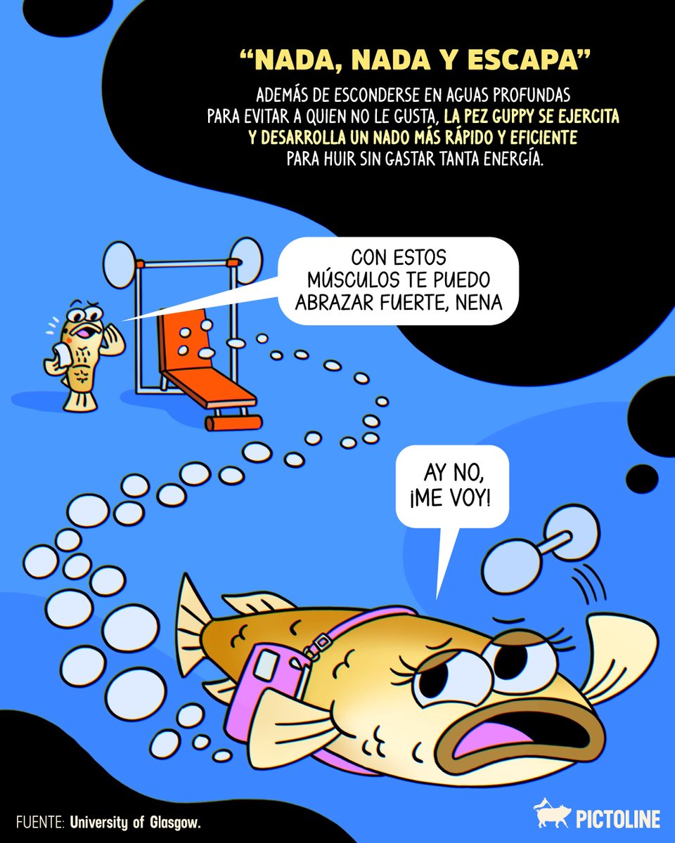 pictoline tweet media