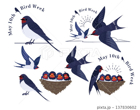 PIXTAにて愛鳥週間ロゴ入りツバメのポーズイラストセットが公開しました🐦️
やっと仕上がりました～😅
去年作ったポーズを修正して新ポーズ追加してます🐦️
末っ子の熱も下がりよく寝てくれるようになったのでその隙にチマチマ作業進めます📝

#PIXTA
pixta.jp/illustration/1…