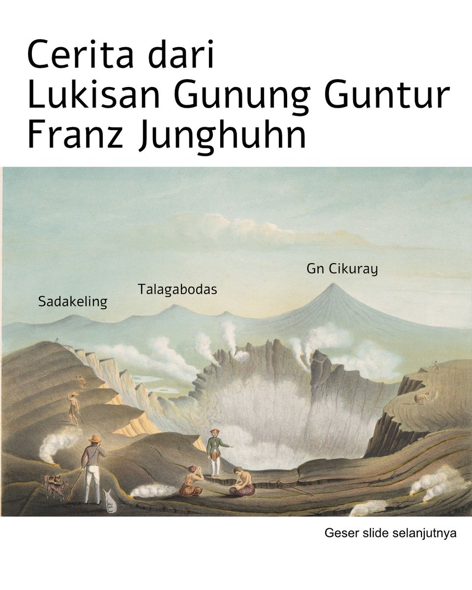 Chasing Peatland 🇵🇸 tweet media