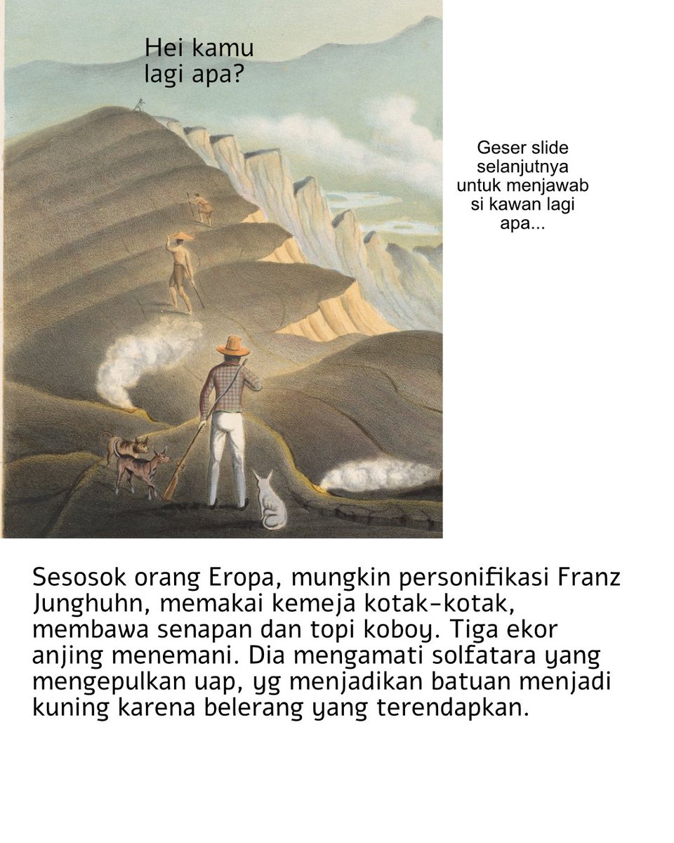 Chasing Peatland 🇵🇸 tweet media