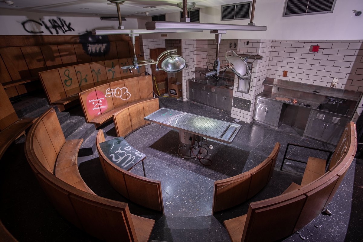 Mr. P. Explores tweet media