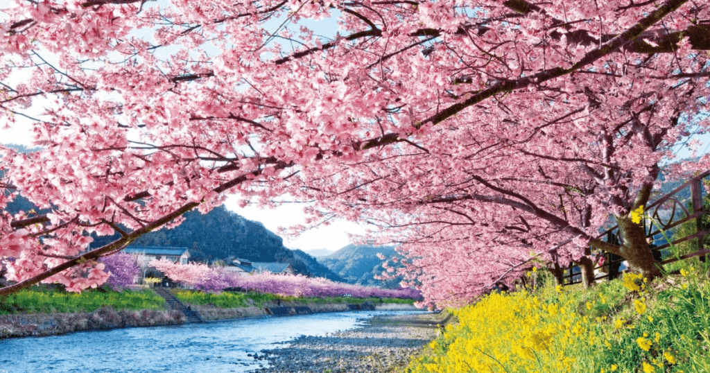 Cool Japan Fund_クールジャパン機構 tweet media