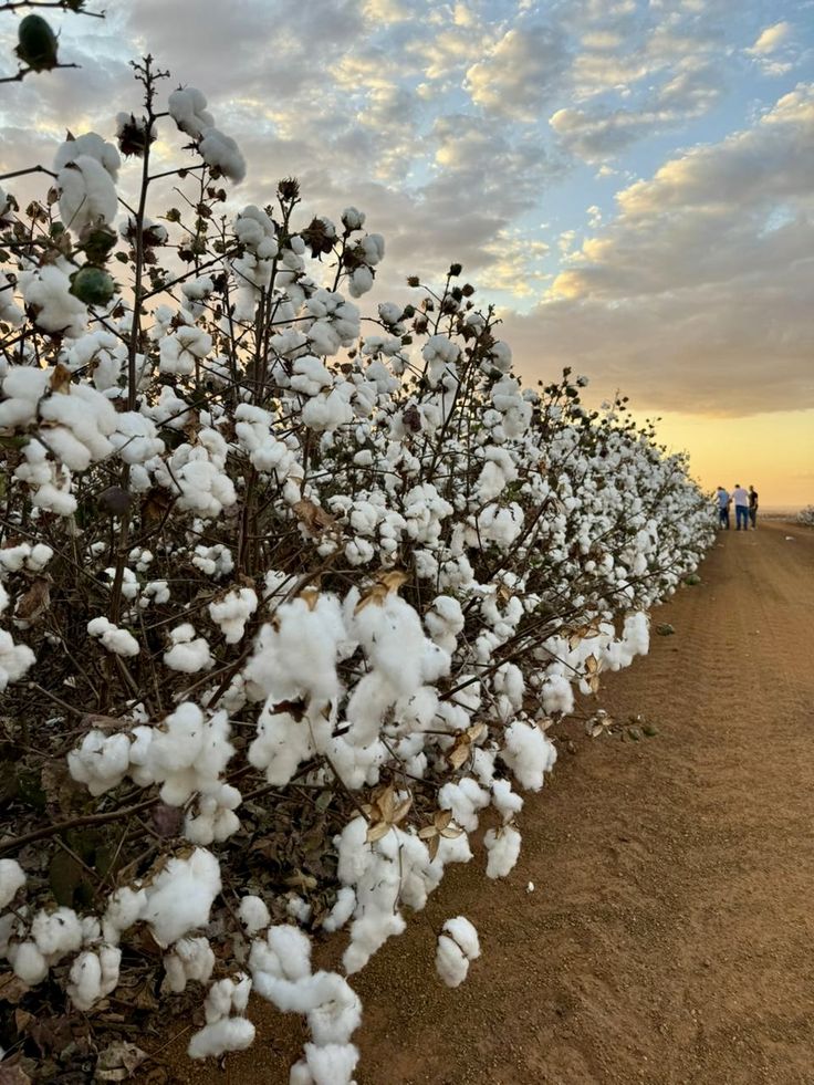 Sweet Adventures tweet media