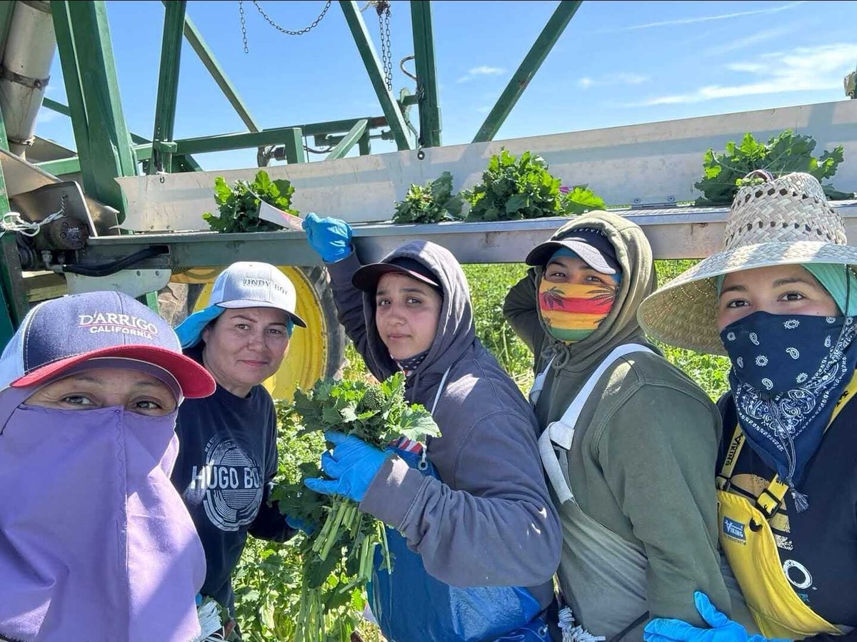 United Farm Workers tweet media