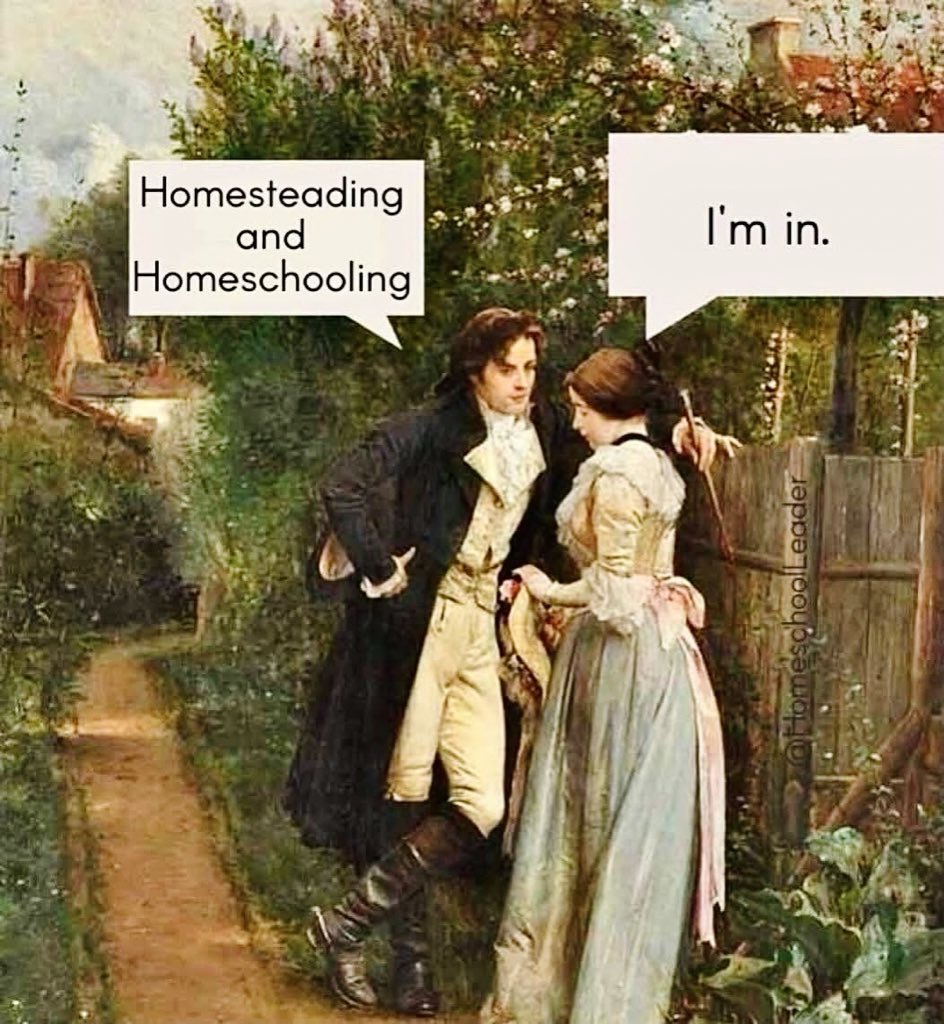 Bee’s Little Ranch tweet media