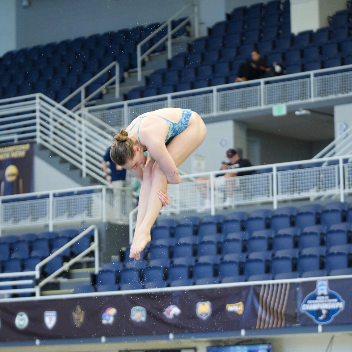 Razorback Swim & Dive tweet media