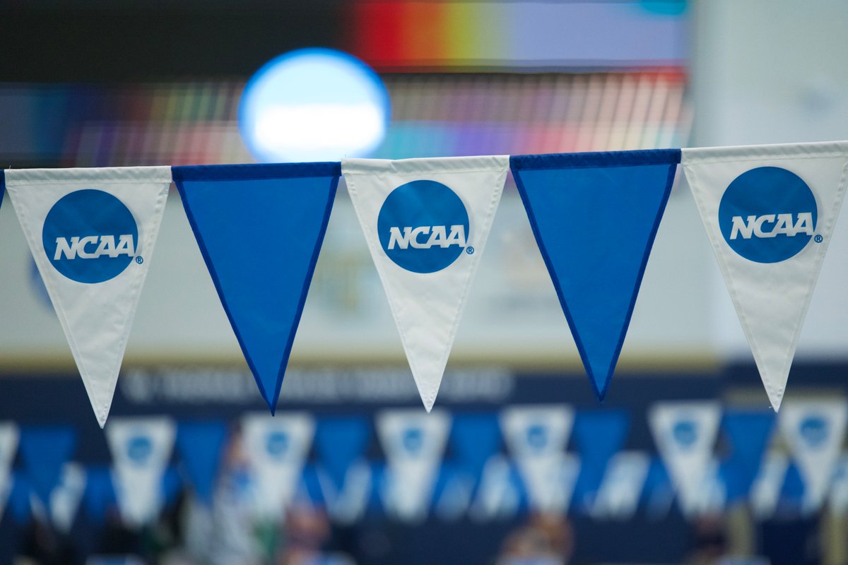 Razorback Swim & Dive tweet media