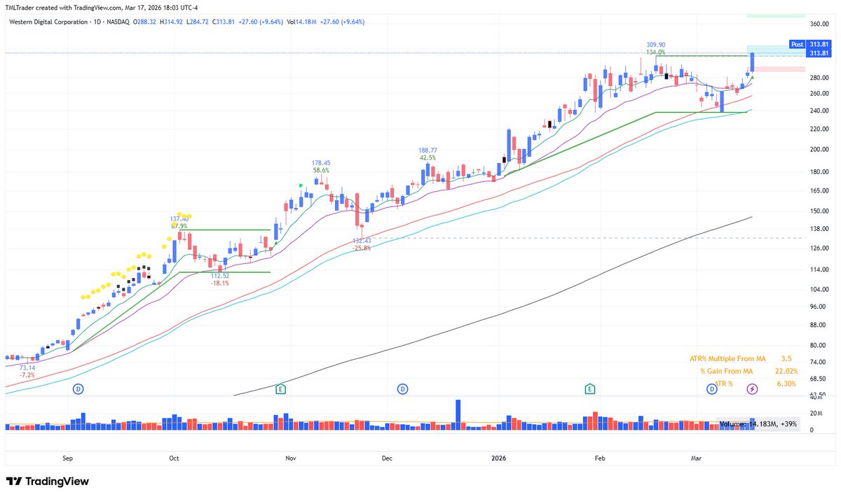 TML Trader tweet media