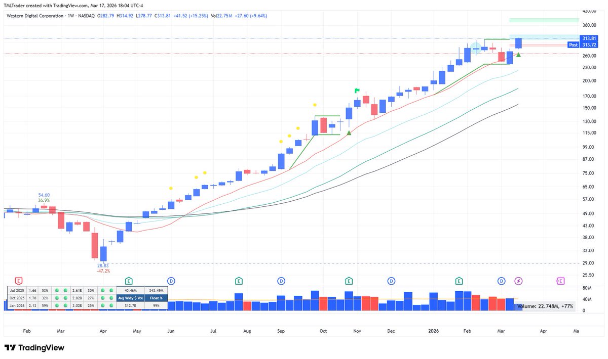 TML Trader tweet media