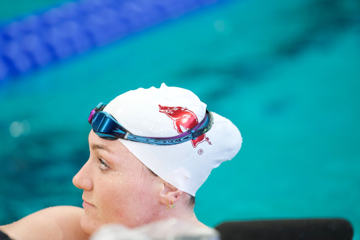 Razorback Swim & Dive tweet media