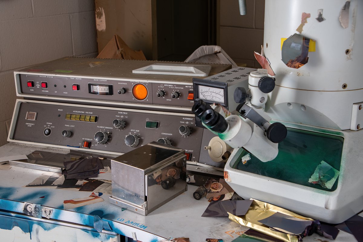 Mr. P. Explores tweet media