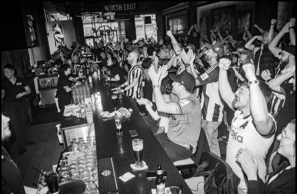 ToonArmyToronto tweet media