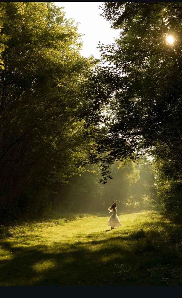 Lola 👸 tweet media