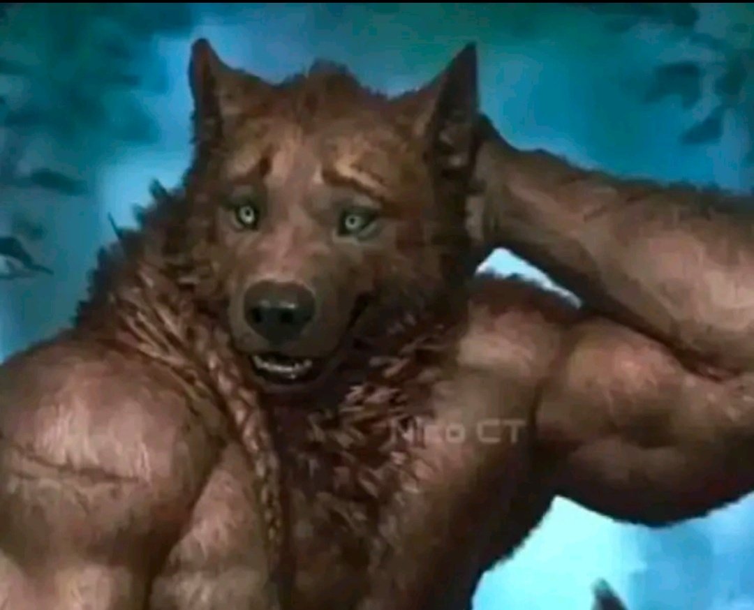 𝖣𝗎𝖽𝖺. tweet media