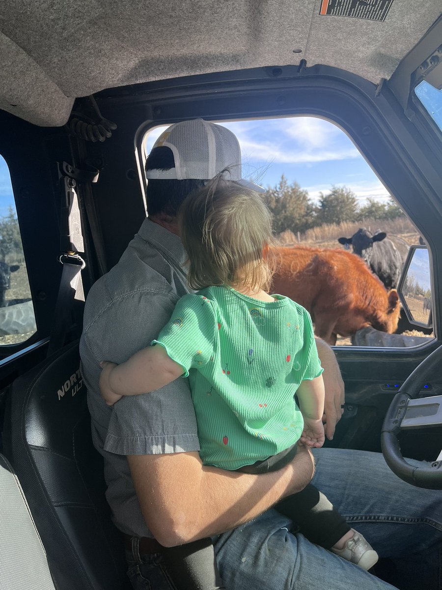 Grace Reinecker tweet media