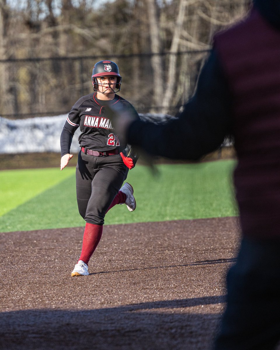 Anna Maria College Athletics tweet media