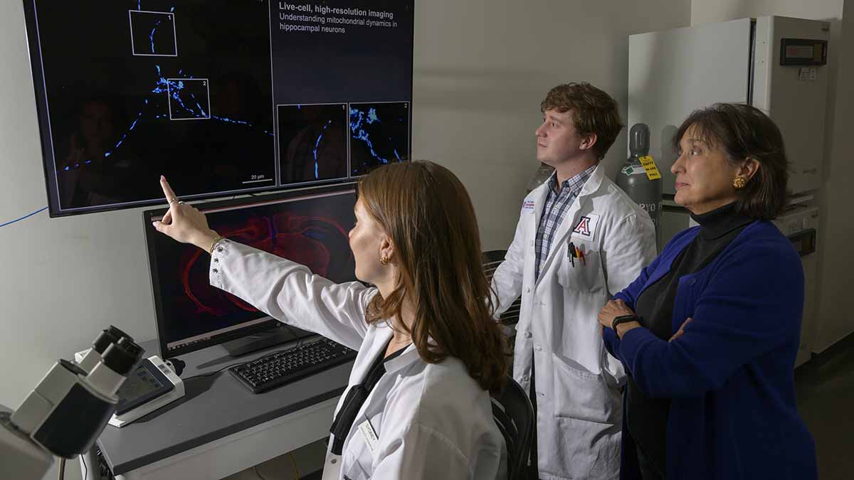 University of Arizona Research tweet media