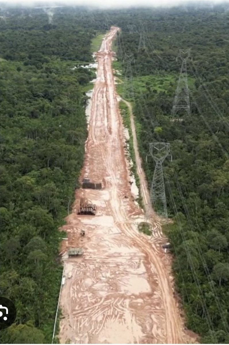 Greg_the_impaler_1 tweet media